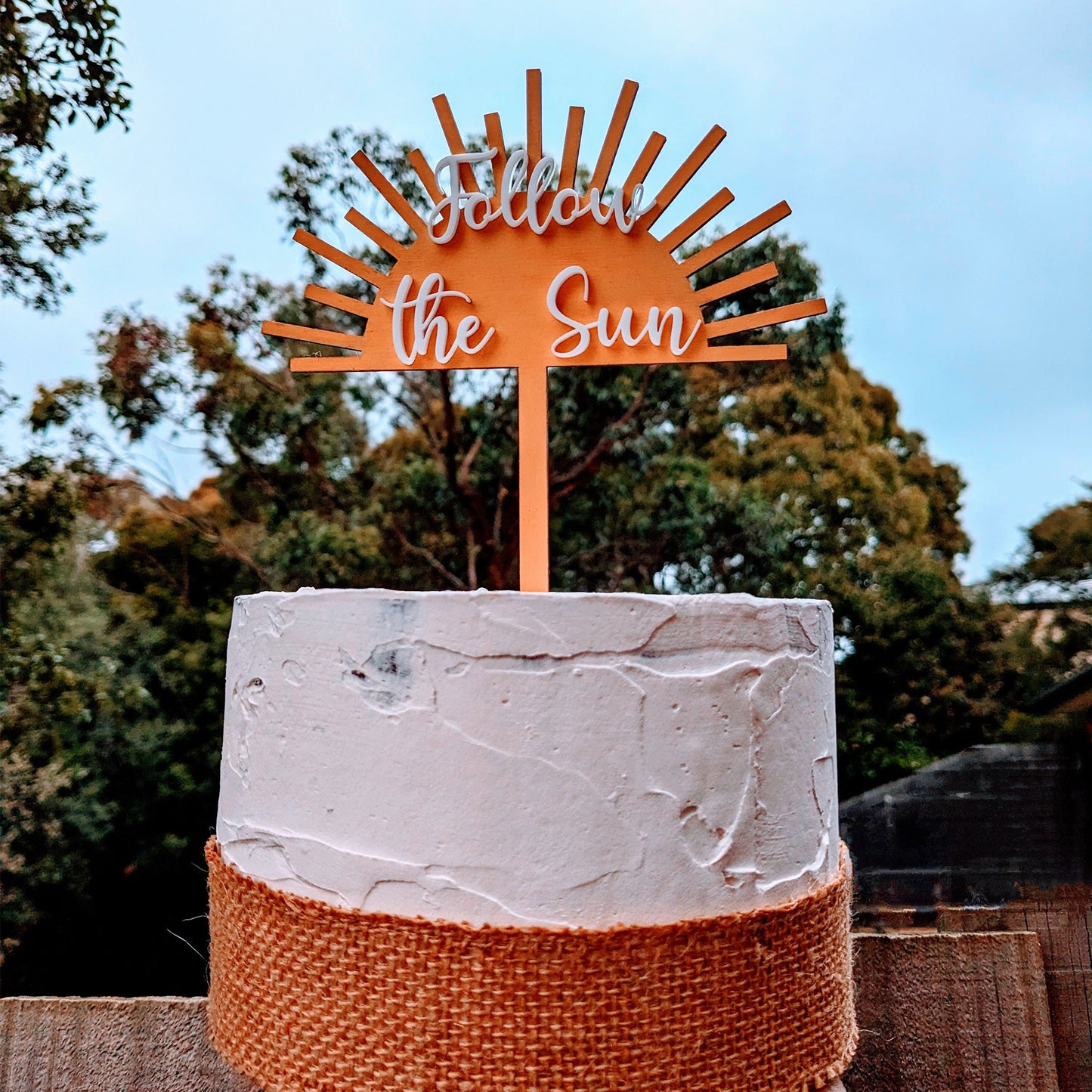 Trip Around the Sun Cake Topper